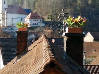 2022-03-03 Weil's so schön ist...noch einmal die Plastikblumen auf dem Kamin