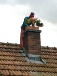2022-02 26 Die Plastikblumen, die wir im Haus gefunden hatten, müssen auf den Kamin.