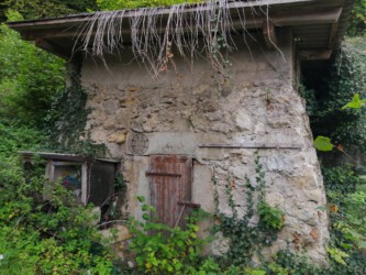 2020-09-30 Ein Verschlag im Vorgarten...vielleicht zukünftiger Fahrradschuppen?