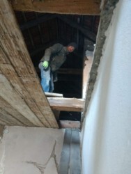 2020-12-31 Die Decke zum Dachboden muss erneuert werden.