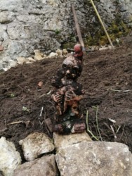 2021-08-19 Der Gartenzwerg schlummerte 8 Jahre lang 20 cm unter der Erde.