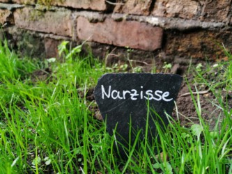 2021-10-06 Zwischendurch wird schon mal gepflanzt.