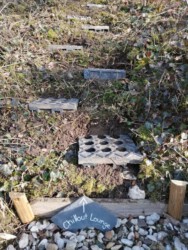 2022-03-01 Die Treppe zur Chillout Lounge aus altem Rasengitter.